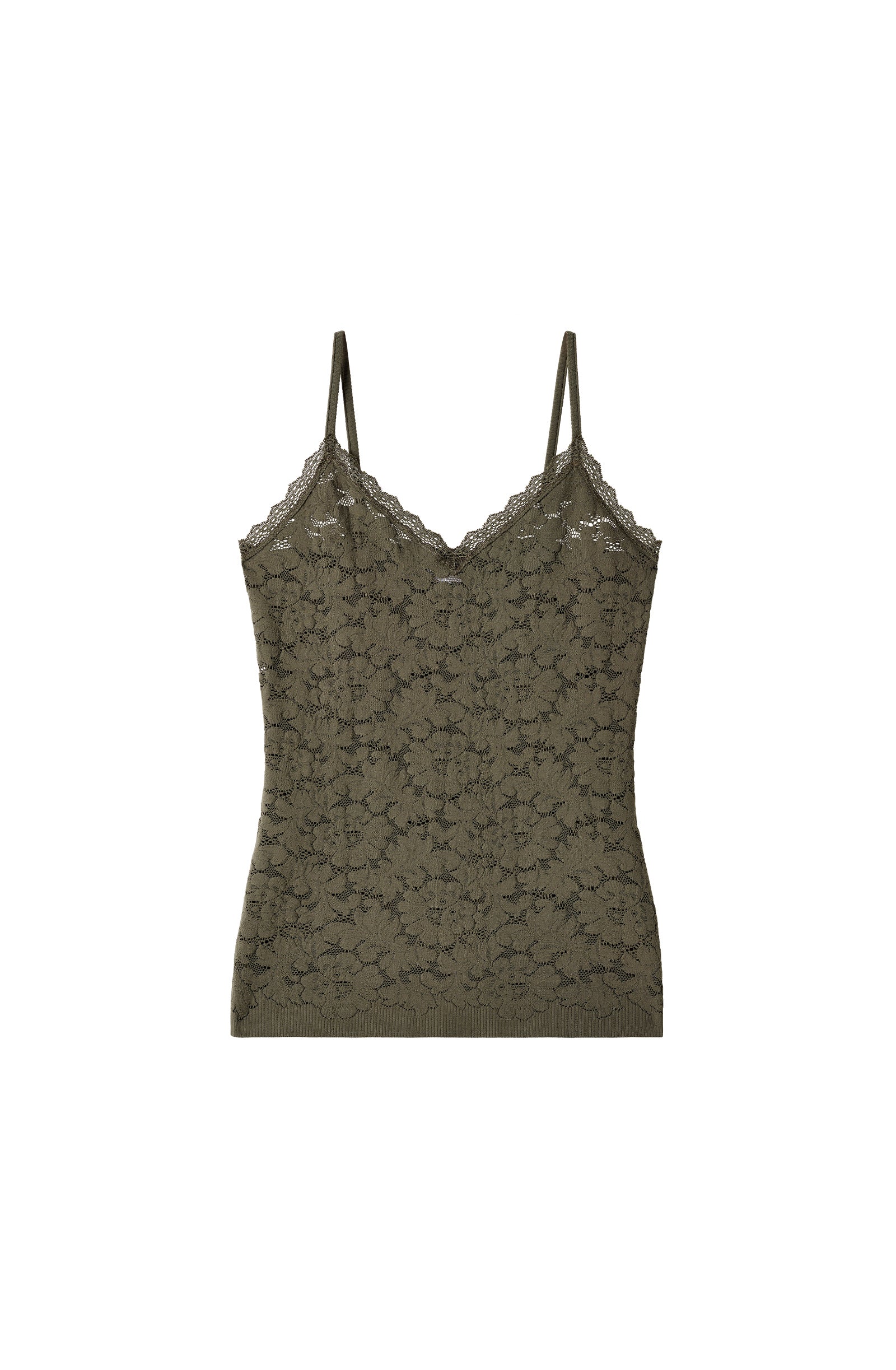 rana - lichen - Image 4